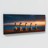 Goose Dusk Watchers 77