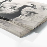 Goose Elegance 89