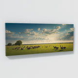 Goose Sky Serenity 79