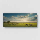 Goose Sky Serenity 79