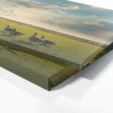 Goose Sky Serenity 79