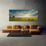 Goose Sky Serenity 79