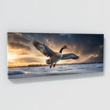 Goose Skyward Grace 63