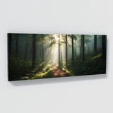 Faith Forest Light Path 72