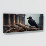 Crow Ancient Perch 51