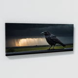 Crow Stormy Flight 48