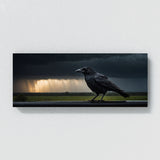 Crow Stormy Flight 48