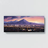 San Jose City 25