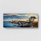 Monterey City 39