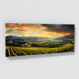 Sonoma City 35