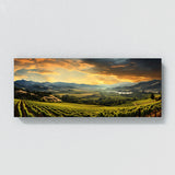 Sonoma City 35