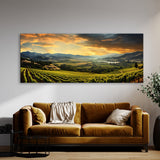 Sonoma City 35