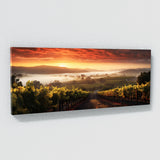 Sonoma City 36