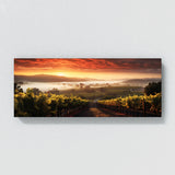 Sonoma City 36