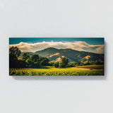 Sonoma City 9