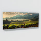 Napa City 30
