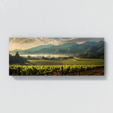 Napa City 30