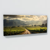 Napa City 31