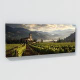 Napa City 32