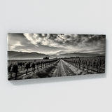 Napa City 33