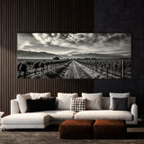 Napa City 33