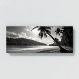 Scarborough Tobago City 16