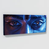 Krishna Eternal Eyes 46