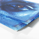 Krishna Eternal Eyes 46