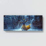 Krishna Monsoon Dance Bliss 44