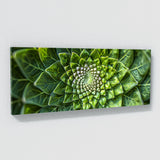 Mandala Symmetric Flora 58