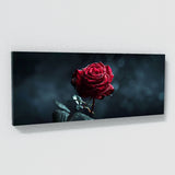 Rose Midnight Bloom 15
