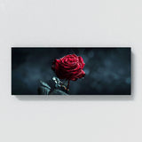 Rose Midnight Bloom 15