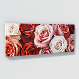 Rose Petal Symphony 10
