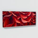 Rose Swirling Petals 7