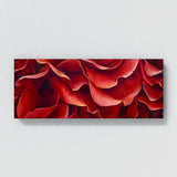 Rose Swirling Petals 7