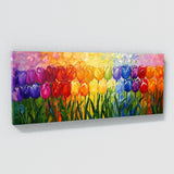 Tulip Colorful Symphony 12