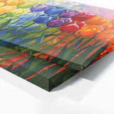 Tulip Colorful Symphony 12