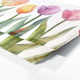 Tulip Delicate Petal Harmony 9