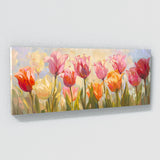 Tulip Dreamy Sunrise 7