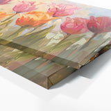 Tulip Dreamy Sunrise 7