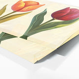 Tulip Modern Elegance 17