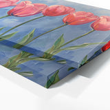 Tulip Radiance 11