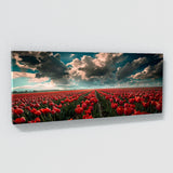 Tulip Vast Horizon 14