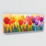 Tulip Vibrant Burst 10