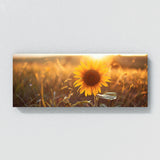 Sunflower Golden Radiance 14