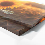 Sunflower Golden Radiance 14