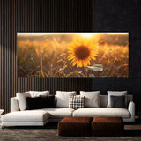 Sunflower Golden Radiance 14