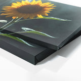 Sunflower Sunlit Bloom 15