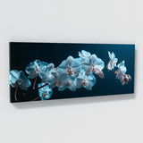 Orchid Blue Elegy 19