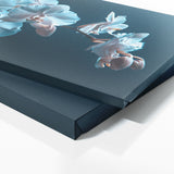 Orchid Blue Elegy 19